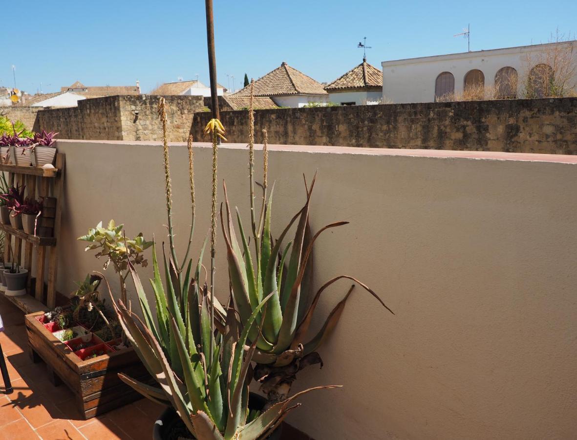 Apartamento En Juderia La Murallita Córdoba Eksteriør billede